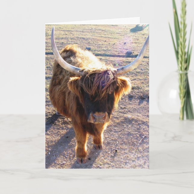 Did you say Bad Hair Day? Card (Front)