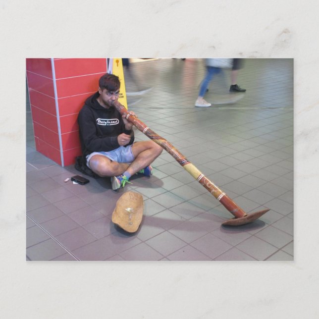 Didgeridoo Busker in Sydney Postcard (Front)