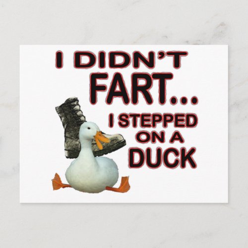 Didnt Fart Postcard