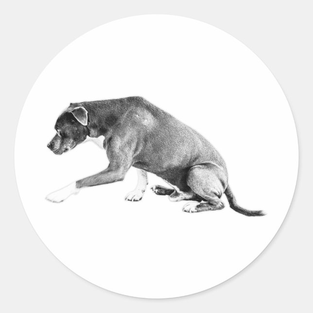 Die-Cut Pawshake—Pitbull Mix Classic Round Sticker (Front)