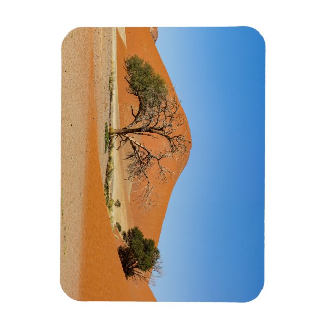 Die Dünen des Sossusvlei in Namibia Magnet (Vertical)