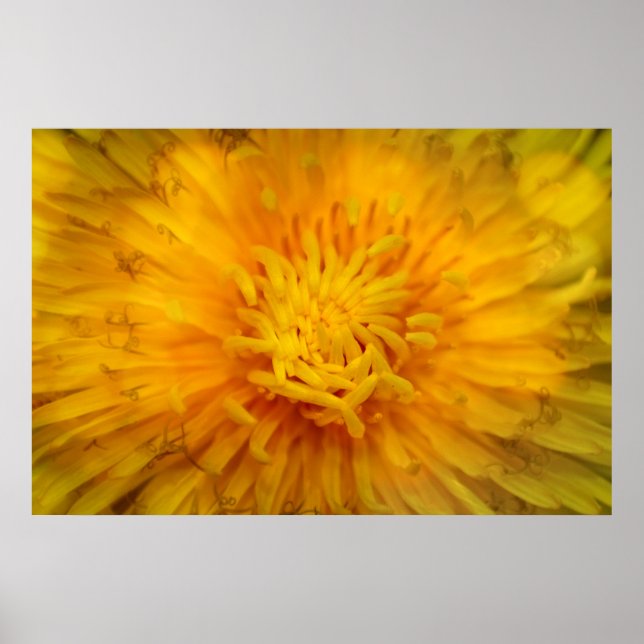 Die Farbe Gelb Poster (Front)