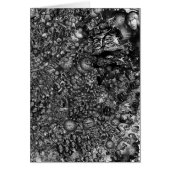 die Feinde von FLomm! (Front)