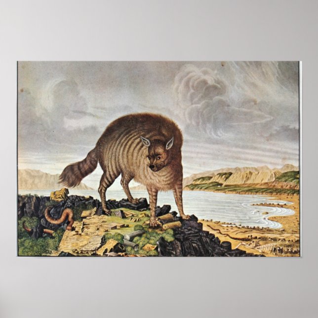 "Die gestreifte Hyäne" Poster (Front)