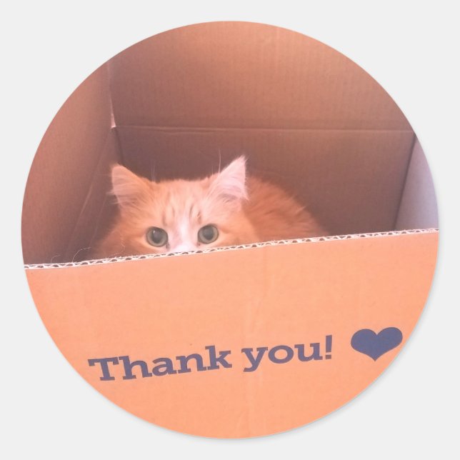 Diego the Cat Thank You Sticker (Front)