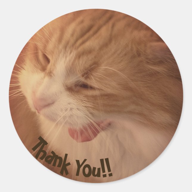 Diego the Cat Thank You Stickers (Front)