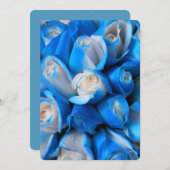 Diemudis (Front/Back)