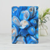 Diemudis (Standing Front)