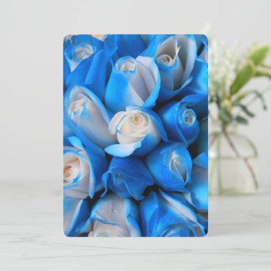 Diemudis (Standing Front)