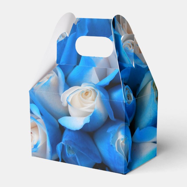 Diemudis Favor Boxes (Front Side)