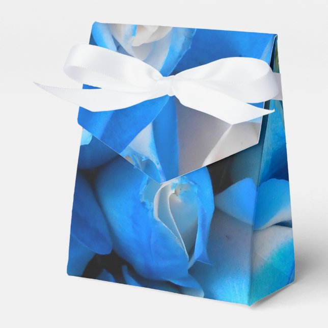 Diemudis Favor Boxes (Front Side)