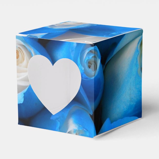 Diemudis Favor Boxes (Front Side)