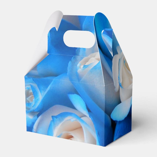 Diemudis Favor Boxes (Back Side)