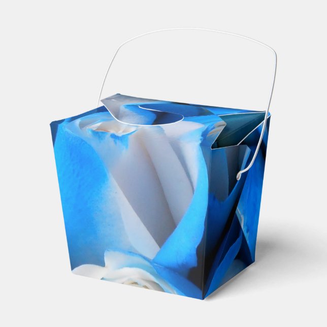 Diemudis Favor Boxes (Front Side)