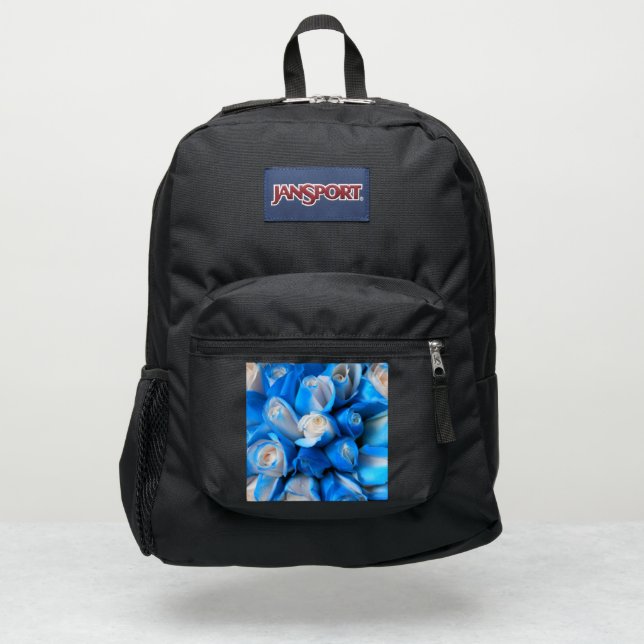Diemudis JanSport Backpack (Front)