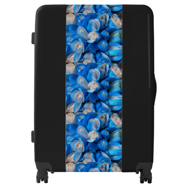 Diemudis Luggage (Front)