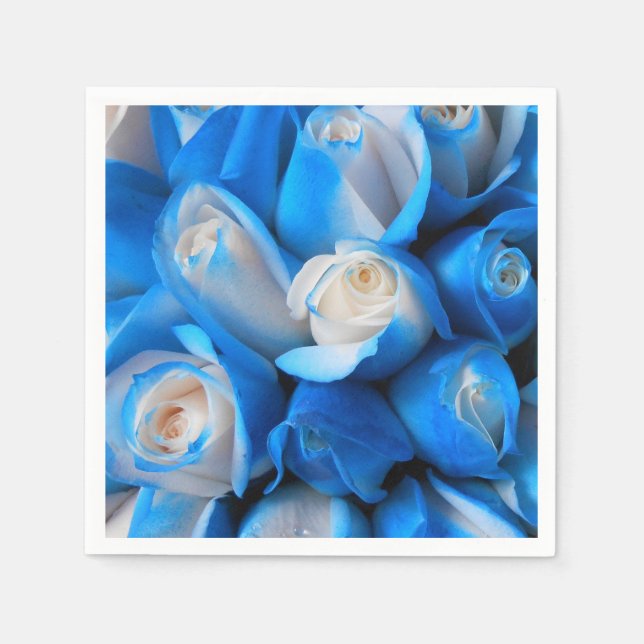 Diemudis Napkins (Front)