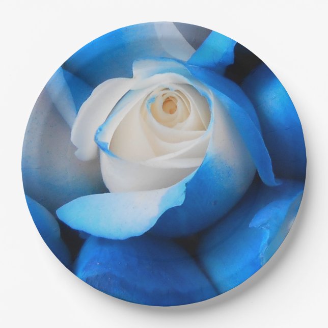 Diemudis Paper Plates (Front)