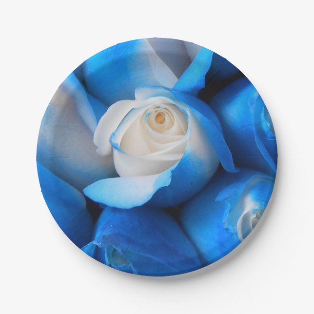 Diemudis Paper Plates (Front)