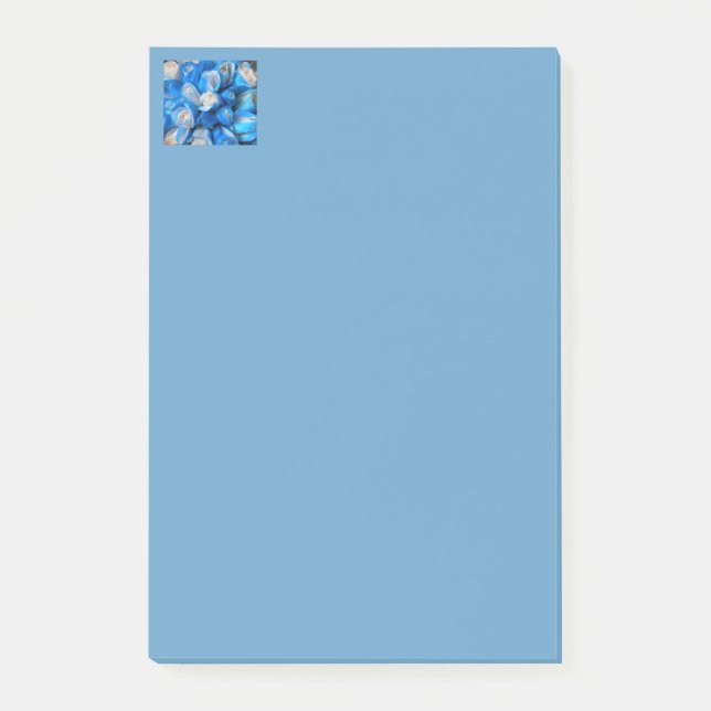 Diemudis Post-it Notes (Front)