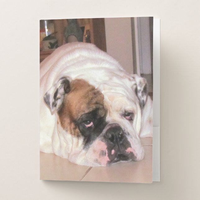 Diesel the English Bulldog Dog Pocket Folders (Front)