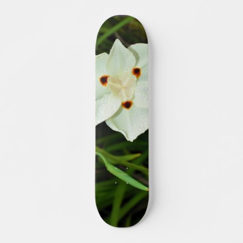 Dietes Bicolor African Iris Fortnight Lily Skateboard Deck