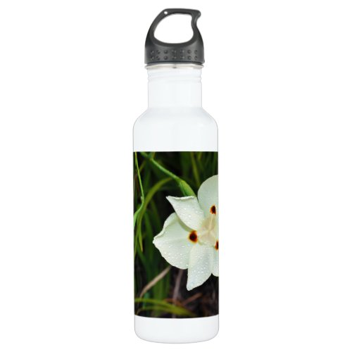 Dietes Bicolor African Iris Fortnight Lily Stainless Steel Water Bottle