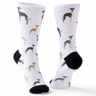 Different Color Italian Greyhound Dogs Pattern Socks