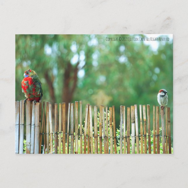 Different Minds Postcard (Front)