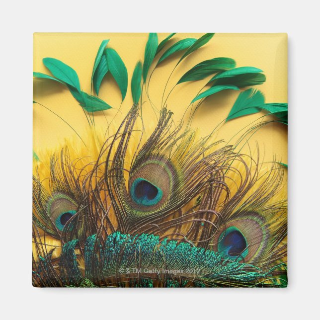 Different Peacock Feathers Magnet (Front)