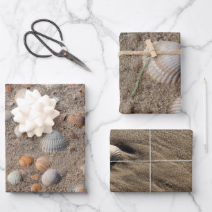 Different Sea shell photos Wrapping Paper Sheets