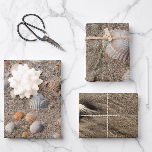 Different Sea shell photos Wrapping Paper Sheets (Front)