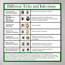 Different Ticks and Infections Chart