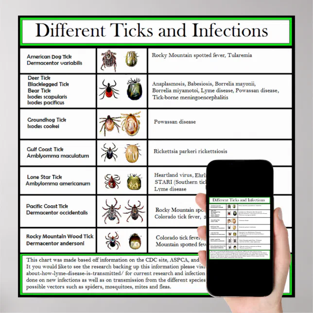 Different Ticks and Infections Chart | Zazzle