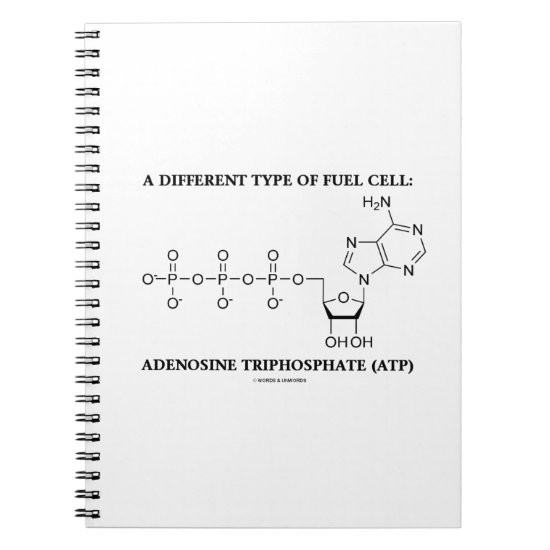 Different Type Of Fuel Cell Adenosine Triphosphate Notebook