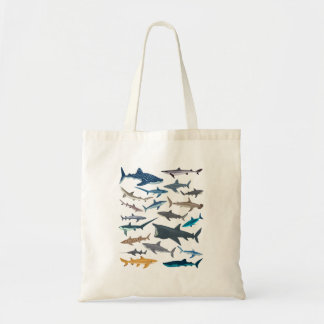 Different Types Of Sharks Boys Kids Girl Shark Col Tote Bag