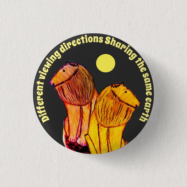 Different viewing directions button (Front)