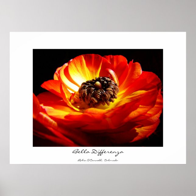  Differenza (with name) Poster (Front)