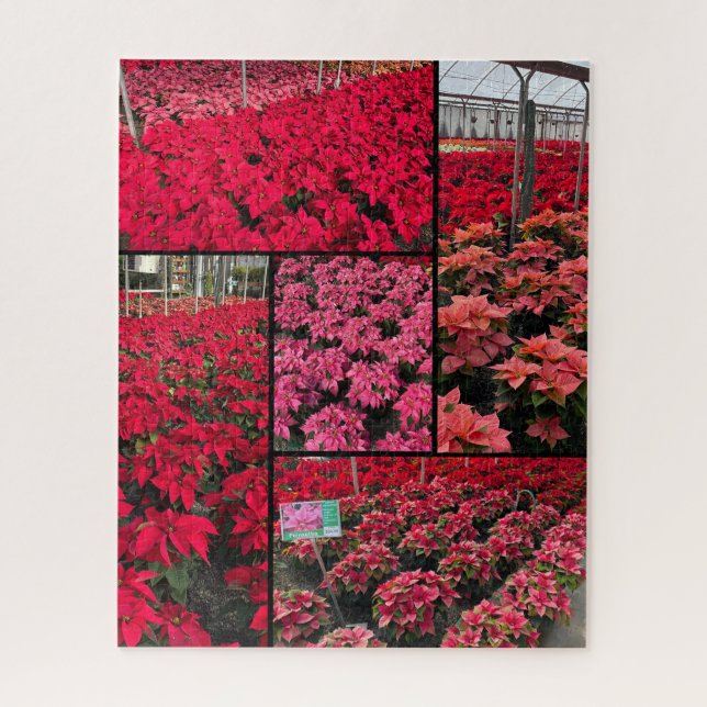 Difficult Christmas Poinsettias 500 pieces Jigsaw Puzzle (Vertical)