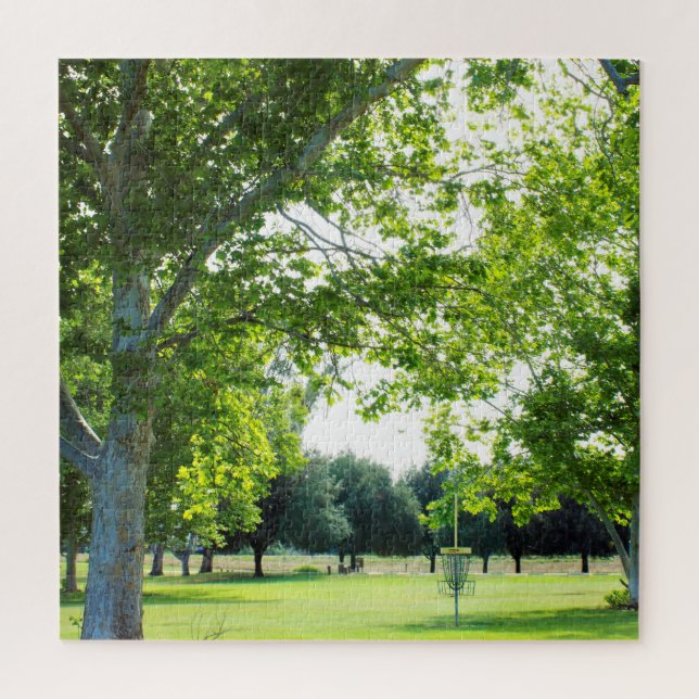 Difficult Disc Golf Puzzle (Vertical)