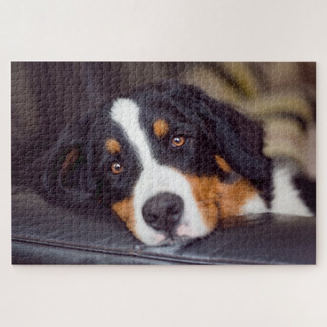 Difficult Pets 20" x 30" Jigsaw Puzzle (Horizontal)