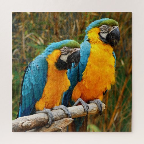 Difficult Unique Macaw Bird Puzzle