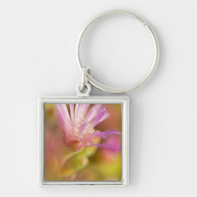 Diffused Image Of A Colorful Succulent Flower Keychain (Front)