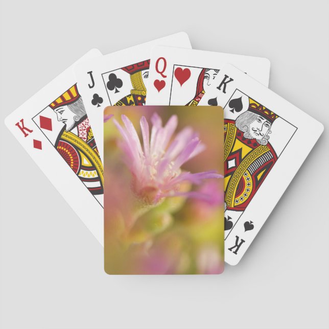 Diffused Image Of A Colorful Succulent Flower Poker Cards (Back)