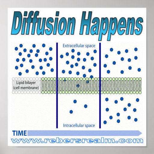 Diffusion Happens Poster | Zazzle