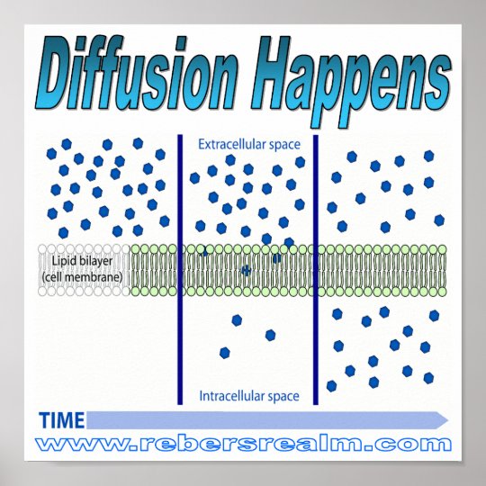 Diffusion Happens Poster