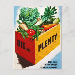 Dig For Plenty Postcard