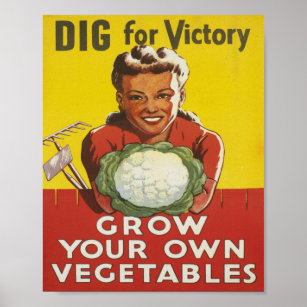 Dig for Victory Grow Your  Own American ww1 Poster