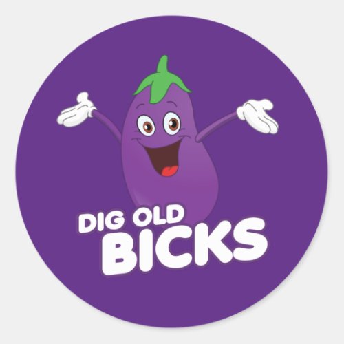 DIG OLD BICKS  T_Shirt Classic Round Sticker