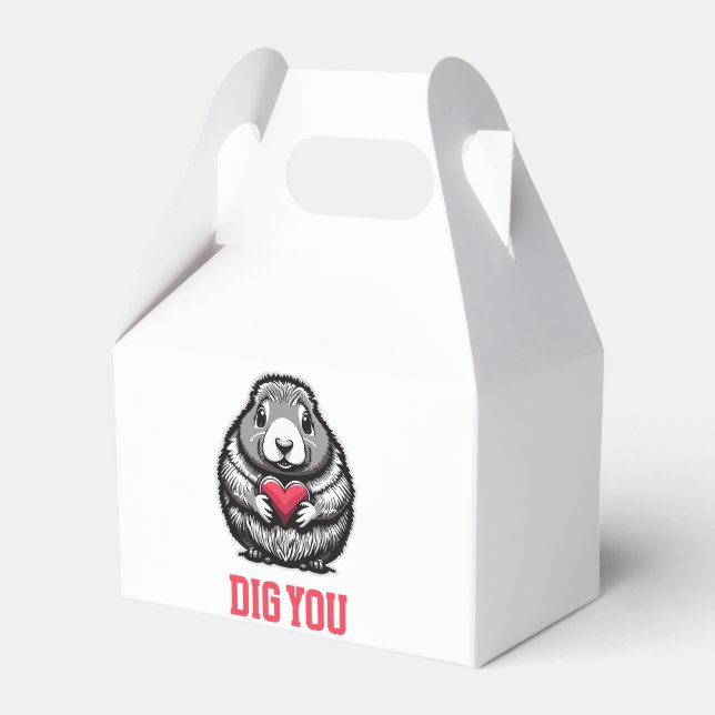  Dig You Favor Boxes (Front Side)